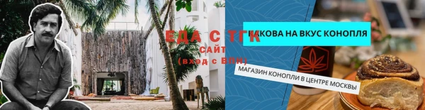 МДПВ Вяземский
