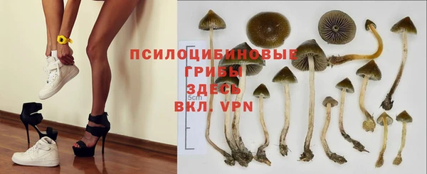 твердый Вязьма