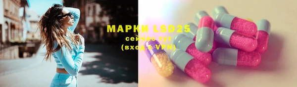 МДПВ Вяземский