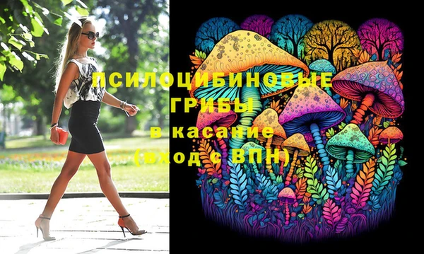 твердый Вязьма