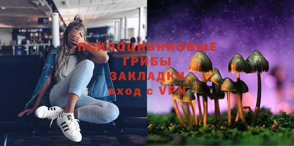 МДПВ Вяземский