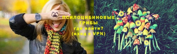 твердый Вязьма
