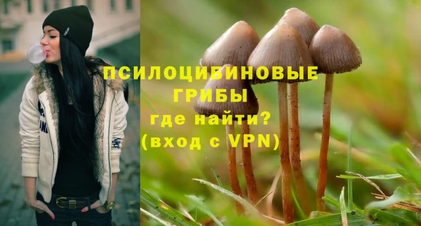МДПВ Вяземский